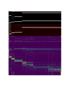 Image not available.